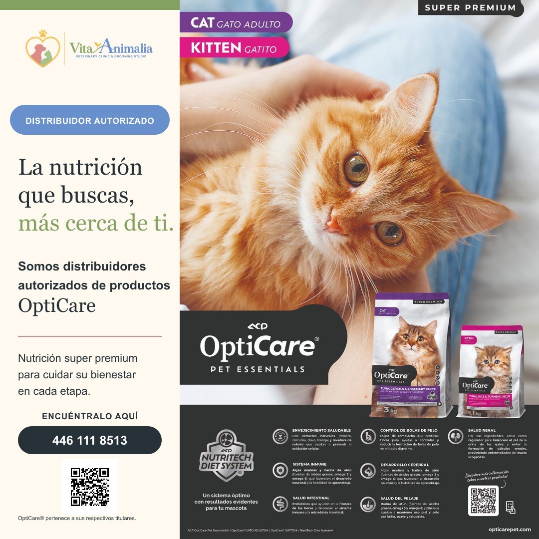 Vita Animalia, distribuidor autorizado de OptiCare: alimento para gato adulto y gatito